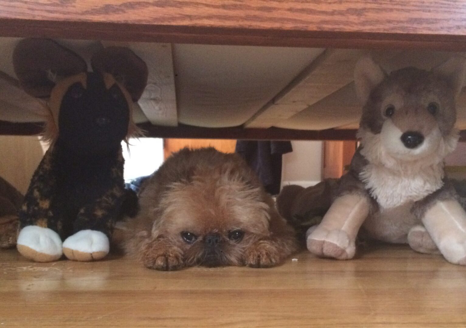 A dog hiding under the bed with stuffed animals