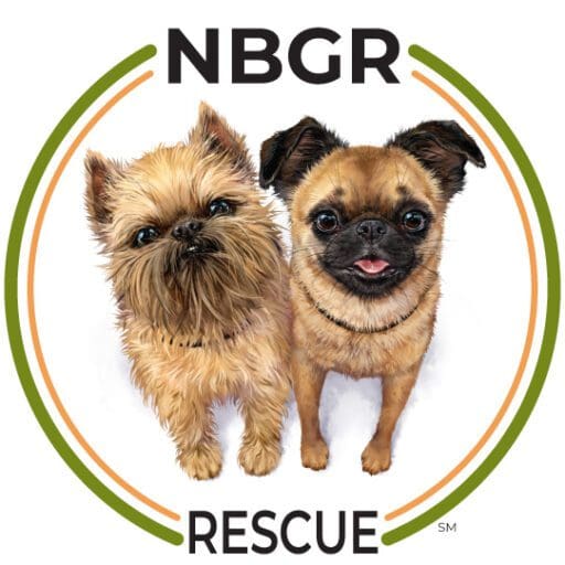 NBGR circular logo featuring two griffon dogs