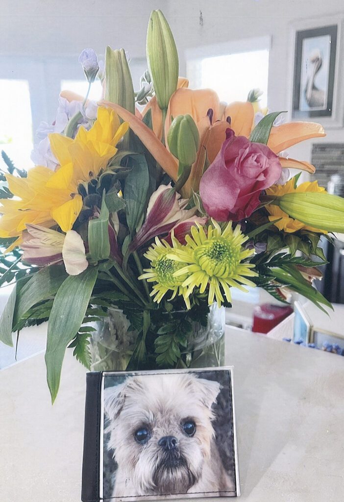 A picture of a Brussels Griffon near a vase of flowers