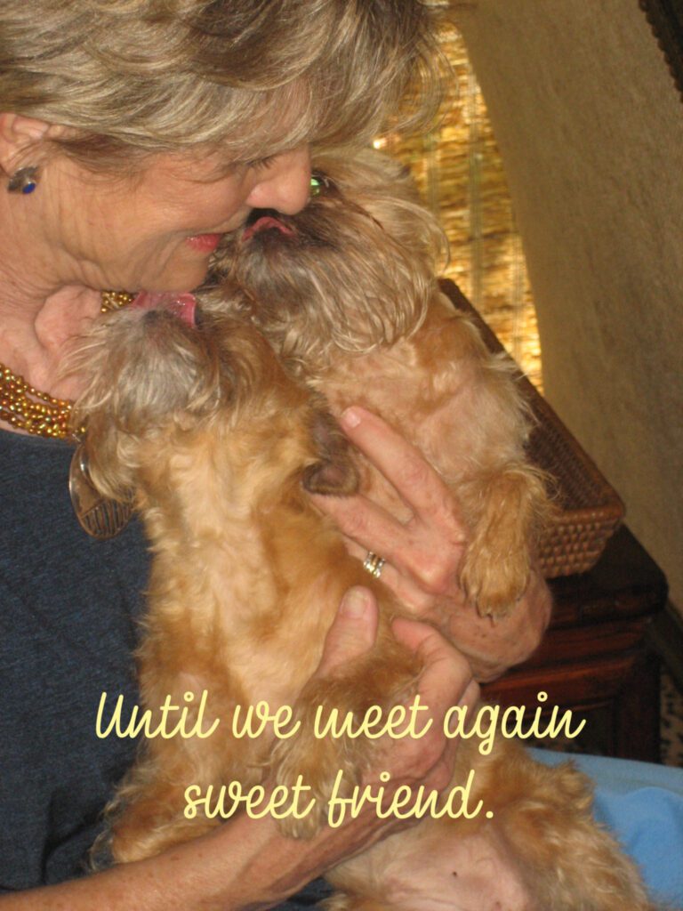 A woman holding onto two small dogs with text