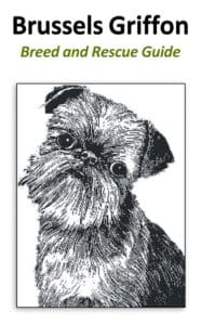 BG GUIDE COVER
