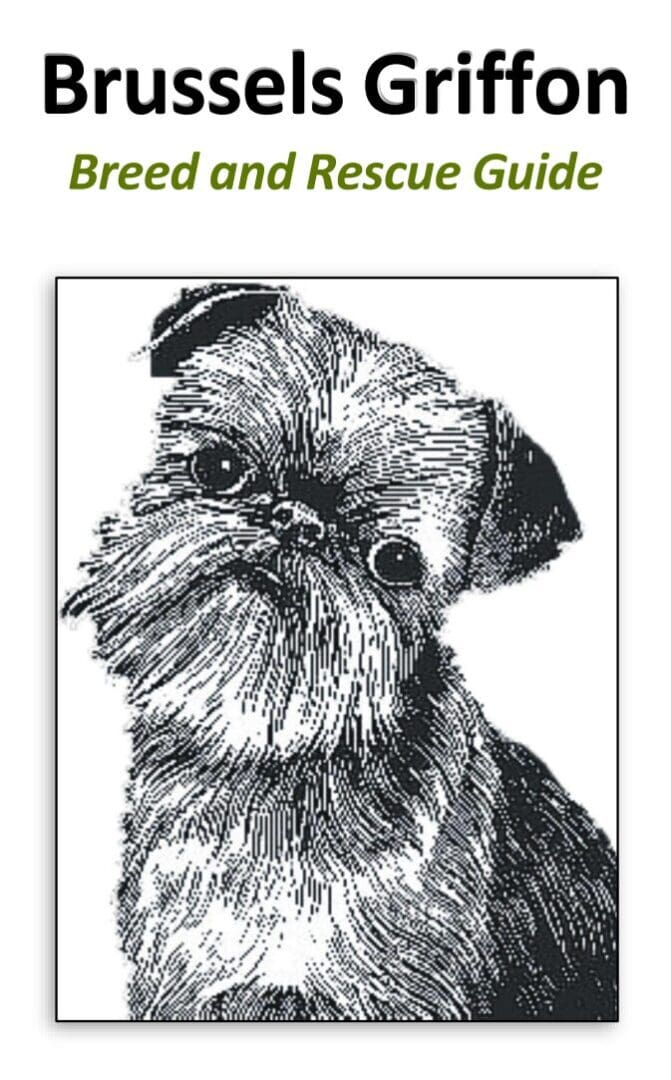 Brussels Griffon illustration on guide cover.