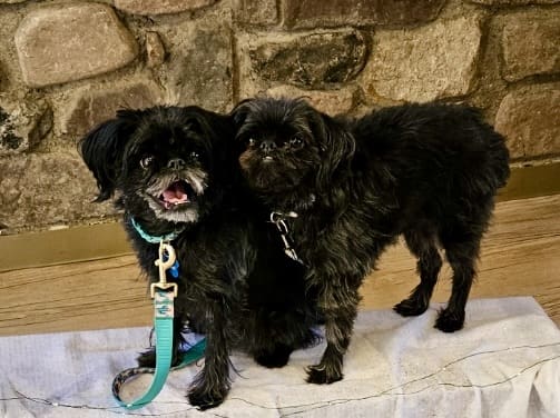 Willow-and-Cindy-Lou-HE