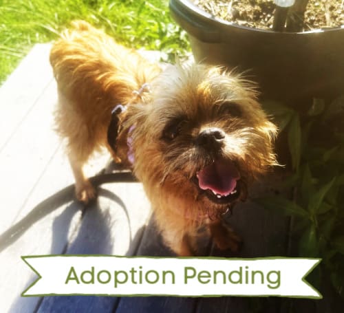 Elsie-Elise 3904 TILE 1