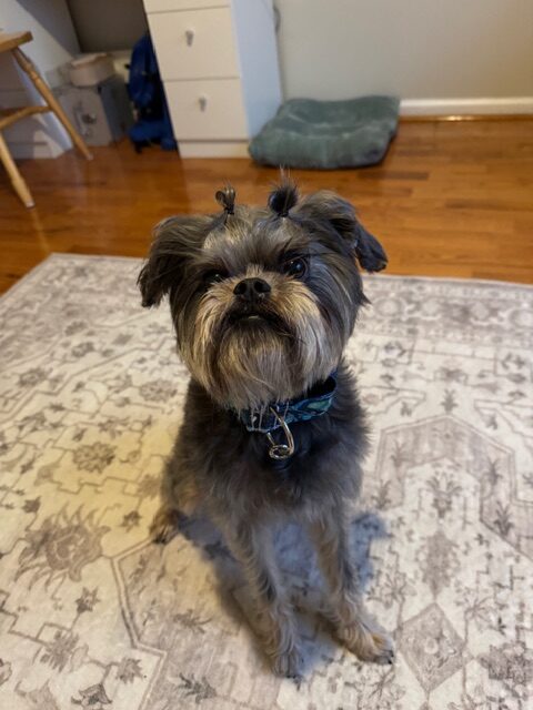 Daisy-3930-Photo-12