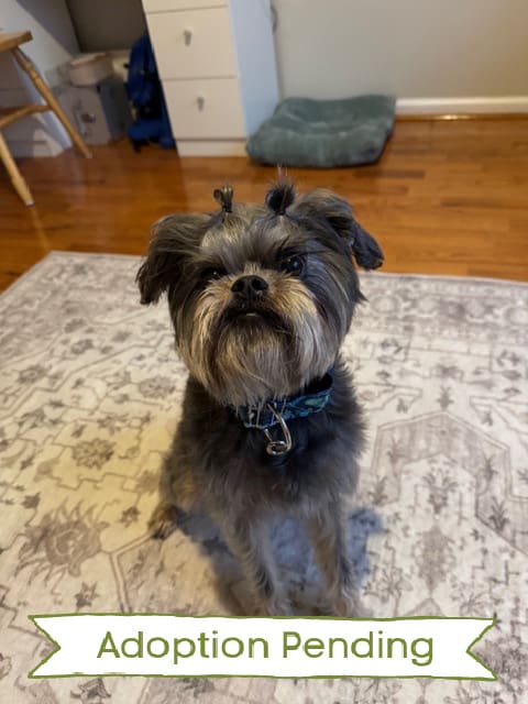 Daisy-3930-Photo-12