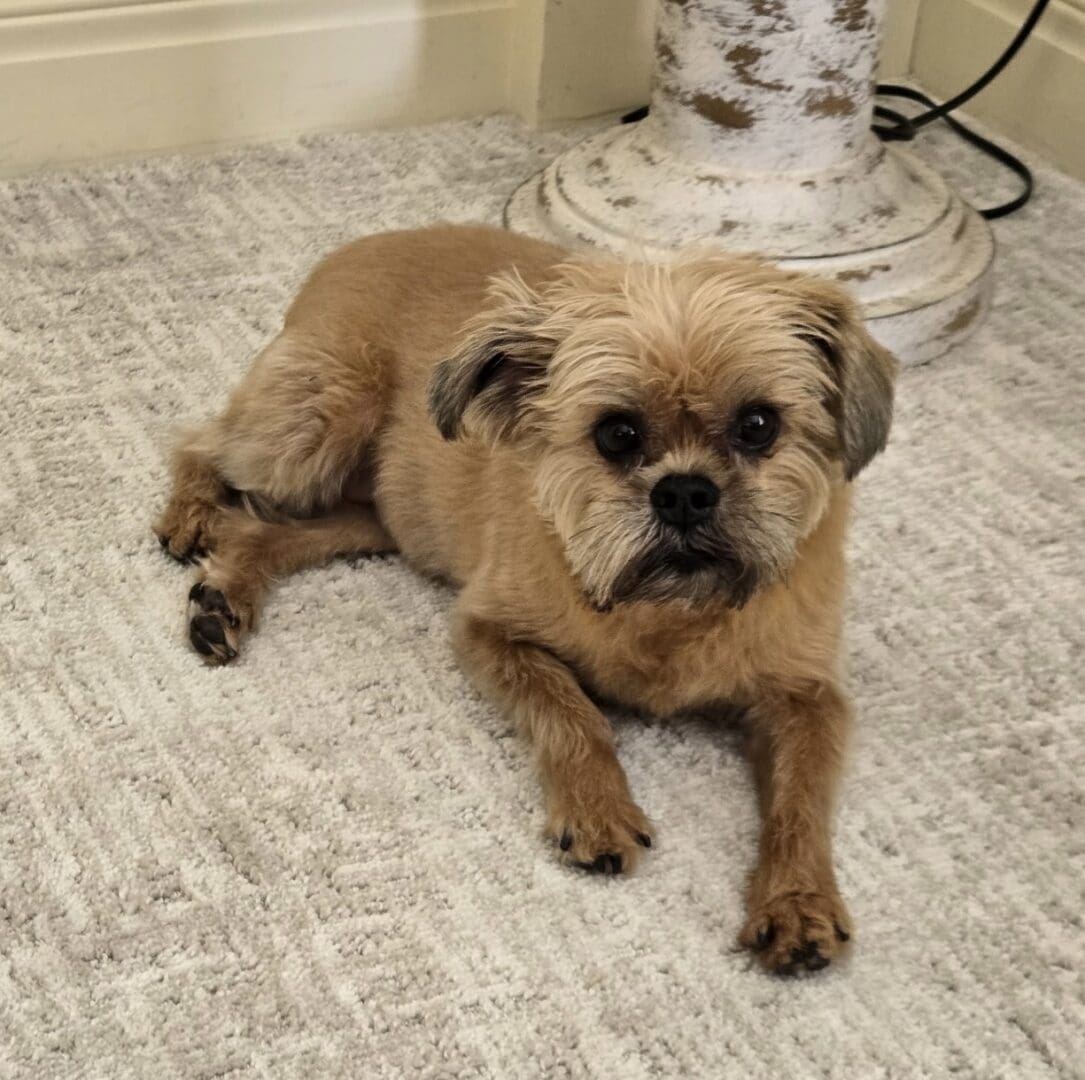 Maggie 3934 4